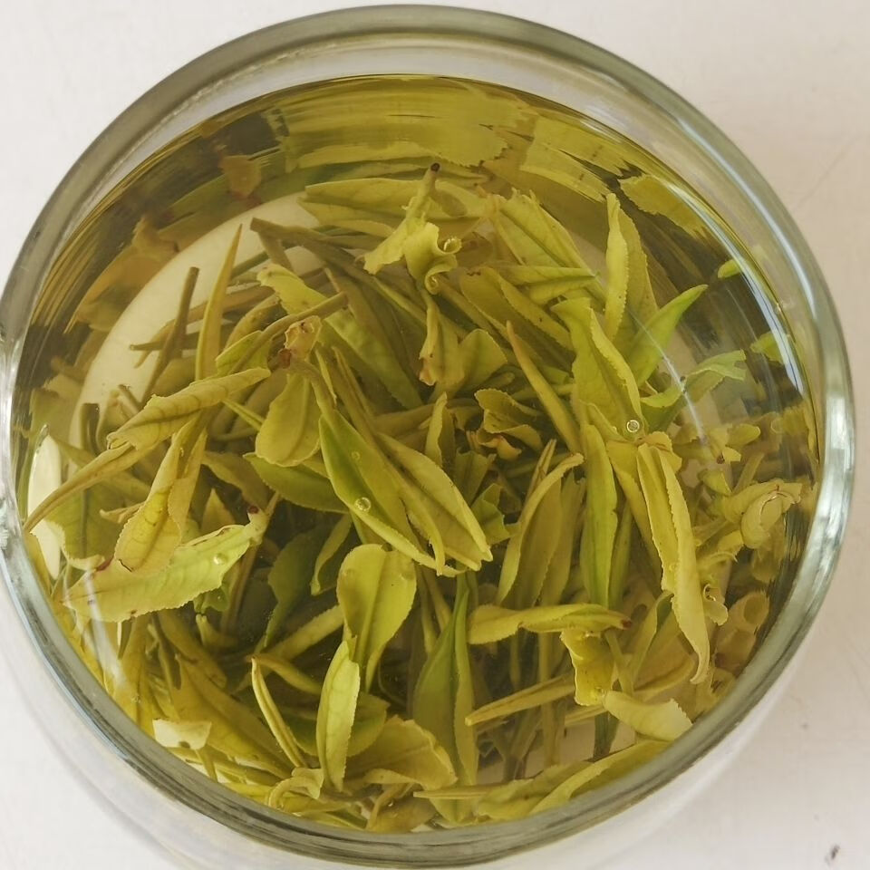 2021明后新茶溧阳天目湖白茶自己喝朋友长辈都挺合适100克体验袋装