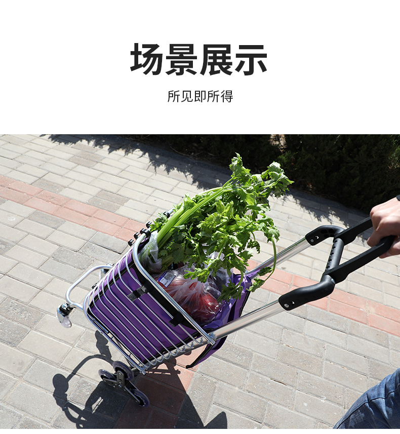 买菜手拉车超市买菜车小拉车轻便携折叠购物车爬楼老人菜篮子手推车拖
