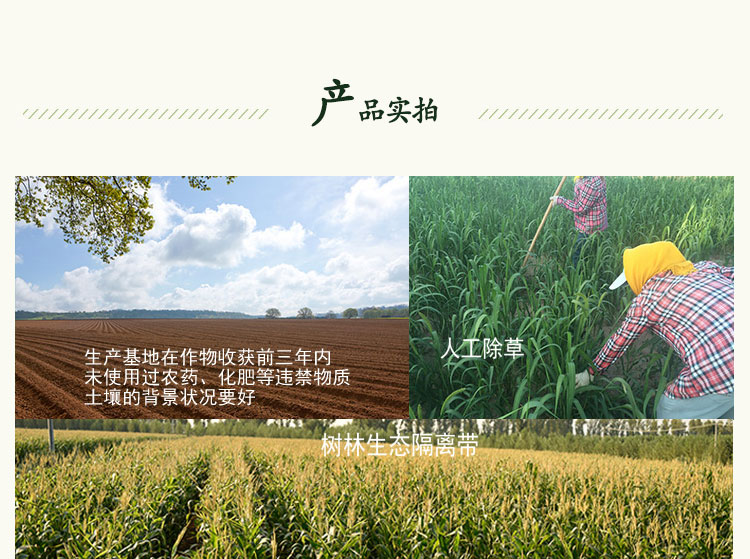 e534bbca828be658.jpg