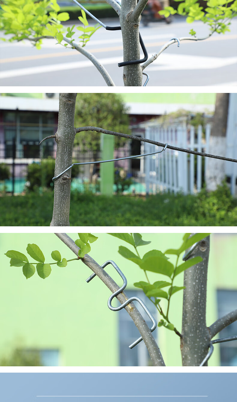 果树拉枝定型器开角通用柑橘弯枝别枝压枝器折枝神器苹果开枝整形m型