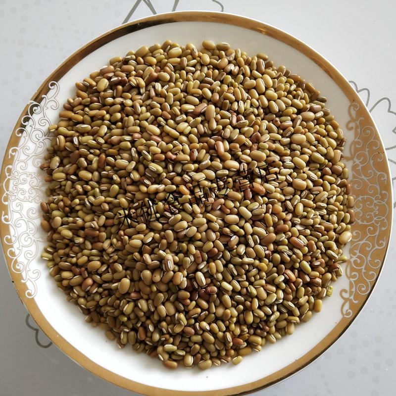 重庆石柱特产高原米豆新豆米小豆米酸菜豆米农家肥自种5斤