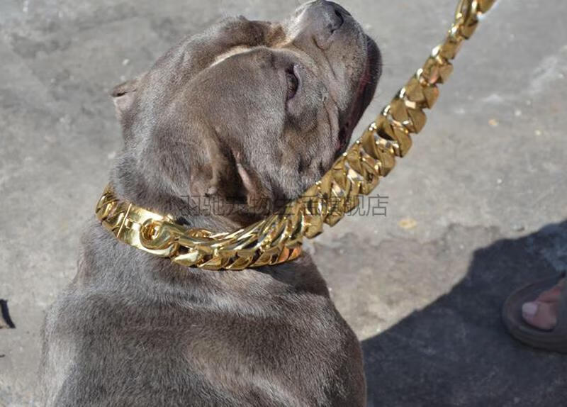脖圈狗链猛犬卡斯罗杜宾斗牛恶霸定制项圈 玫瑰金色光面卡扣-光面项圈