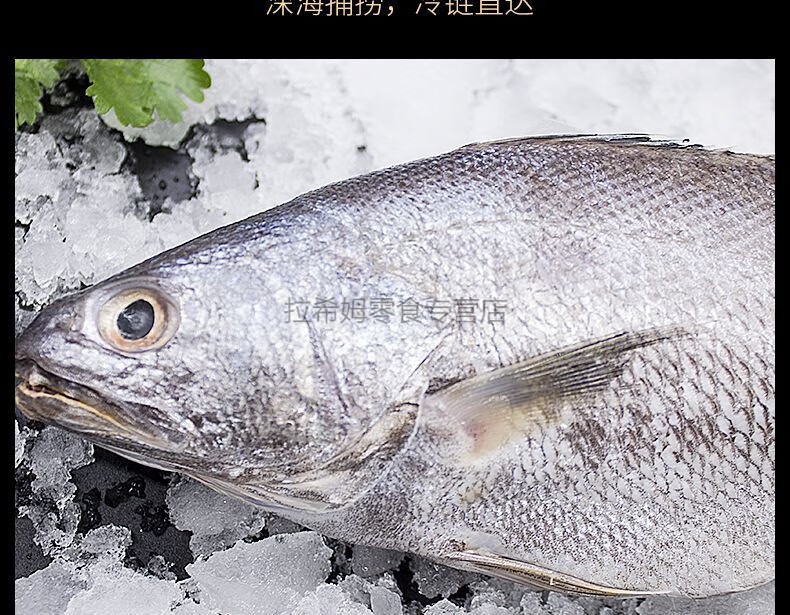 冷冻鳘鱼大鮸鱼敏鱼冰冻鮸鱼海捕水产活 5斤装【8两-1斤】【图片 价格