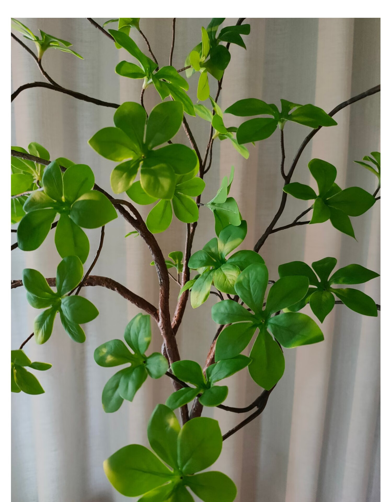 植物日本吊钟假绿植盆栽室内装饰北欧ins盆景摆件仿真吊钟树圆柱花瓶