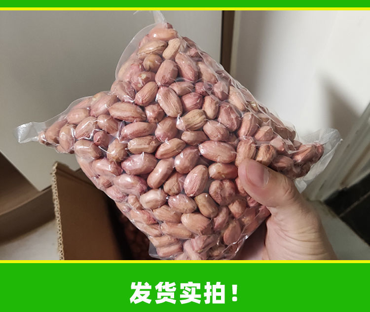5折山东大花生1斤1袋米鲁花长颗粒生新特级超大真空精选大花生米3斤