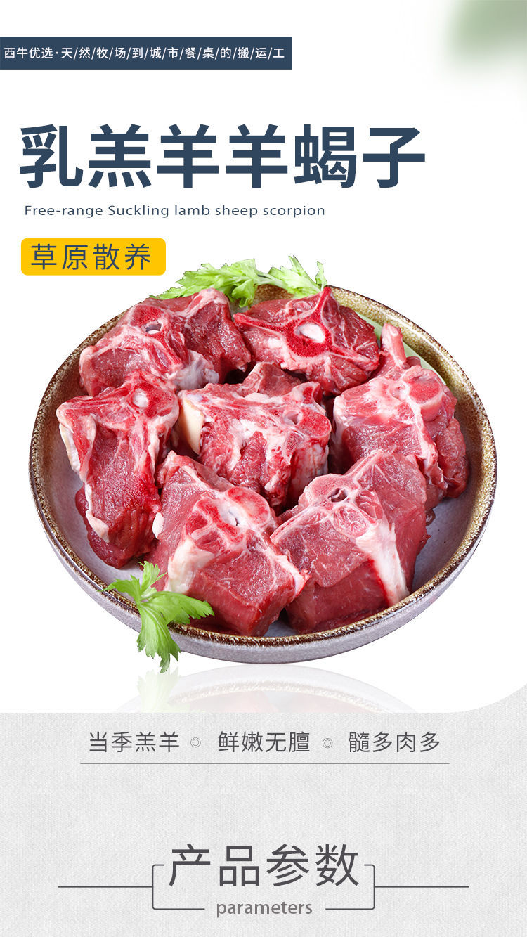 羊蝎子5斤祁连山牧场散养新鲜羊肉4斤火锅煲汤食材25斤超市品质羊蝎子