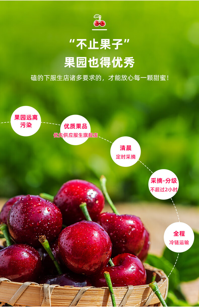 e6b199c8551df2b4.jpg