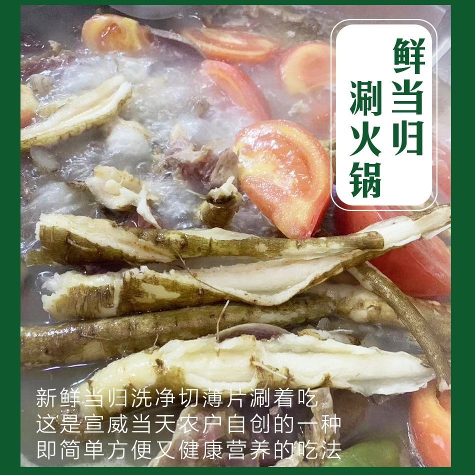 云南特产新鲜西归甜当归土当归西归芹根膳食滋补2斤装1000g