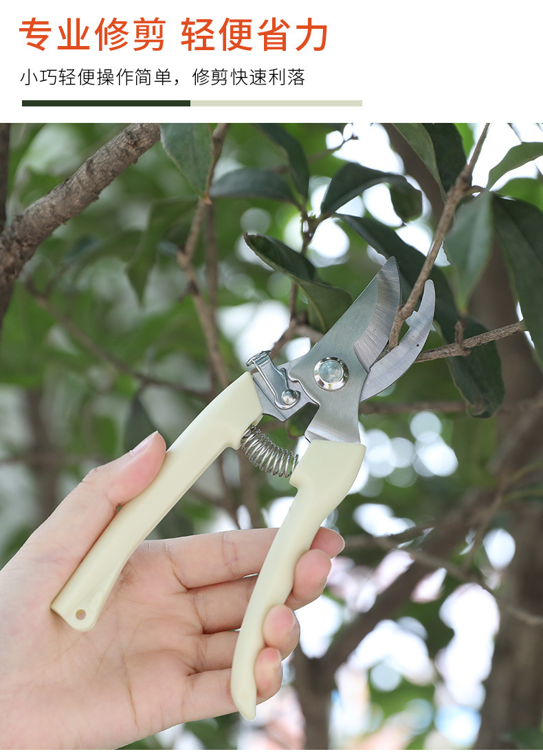 果树剪刀树枝修枝剪园艺剪修花工具疏果修果树果园园林修剪粗枝剪直嘴
