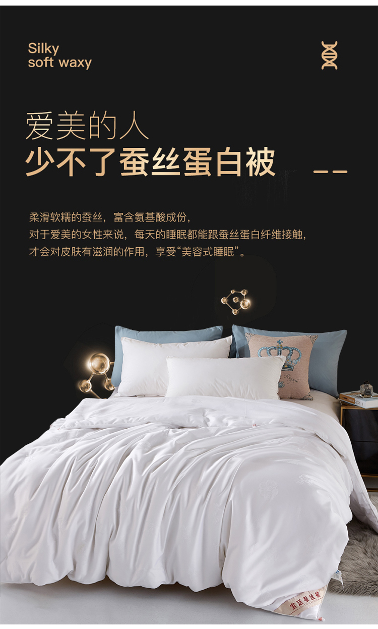 鹅绒被子母被家纺蚕丝被100春秋被冬被二合一子母被夏凉被双人被芯
