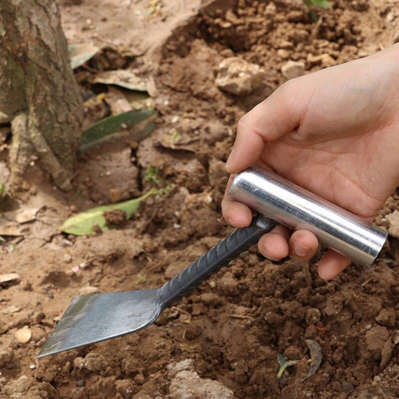 家用挖野菜小铲子挖草药种菜除草挖土菜园花园艺园林用具农用工具6分