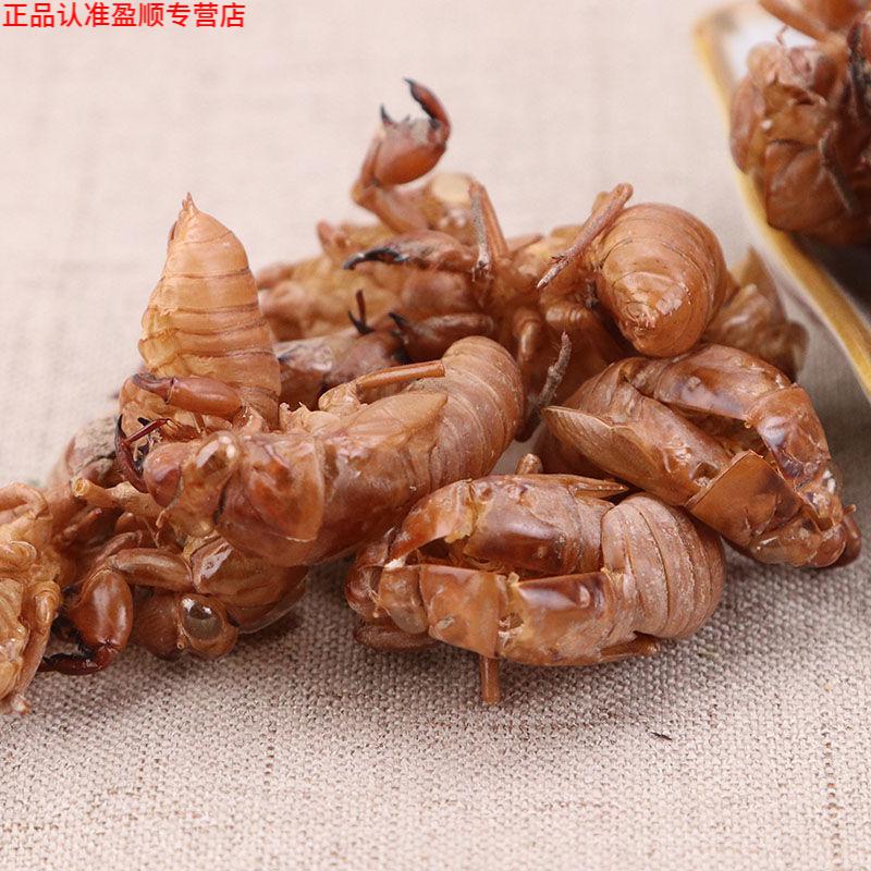 北京原料 水洗蝉蜕 中药材 知了皮 金蝉衣 蝉衣 蝉退 蝉脱 50克只为