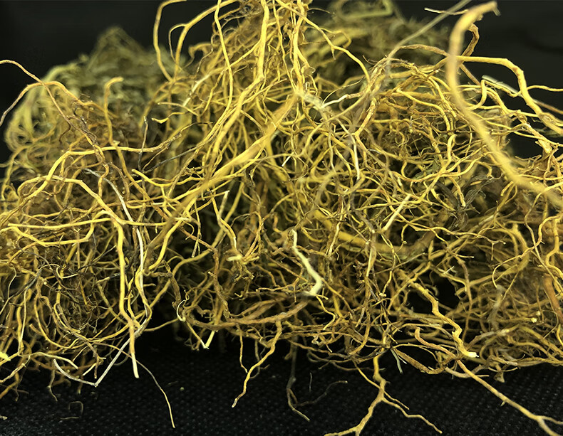 新货精选水黄连水灵芝中药材250克草青鱼胆草名贵药材