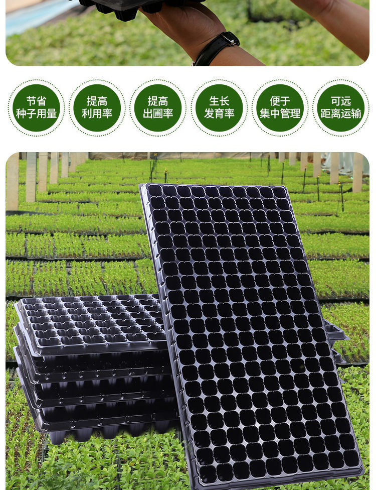 育苗盘育苗盘加厚穴盘秧苗扦插托盘营养杯蔬菜无孔育苗盆家用批发 特
