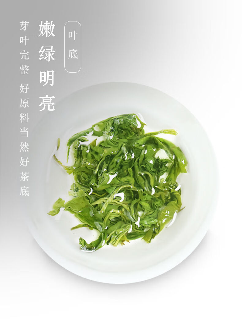 2021新茶贵州湄潭毛尖毛峰茶叶绿茶日照充足绿茶特一级嫩芽浓香型500g