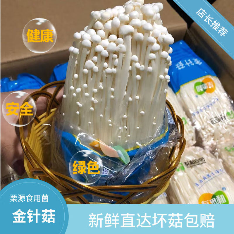 新鲜金针菇蘑菇新鲜蔬菜菌菇金针菇食用菌一袋独立包装400g