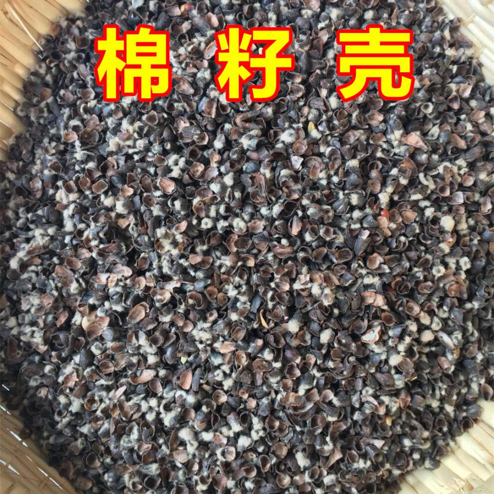 食用菌原料棉籽壳棉籽皮棉花籽壳蘑菇培养料 棉籽壳5斤【图片 价格