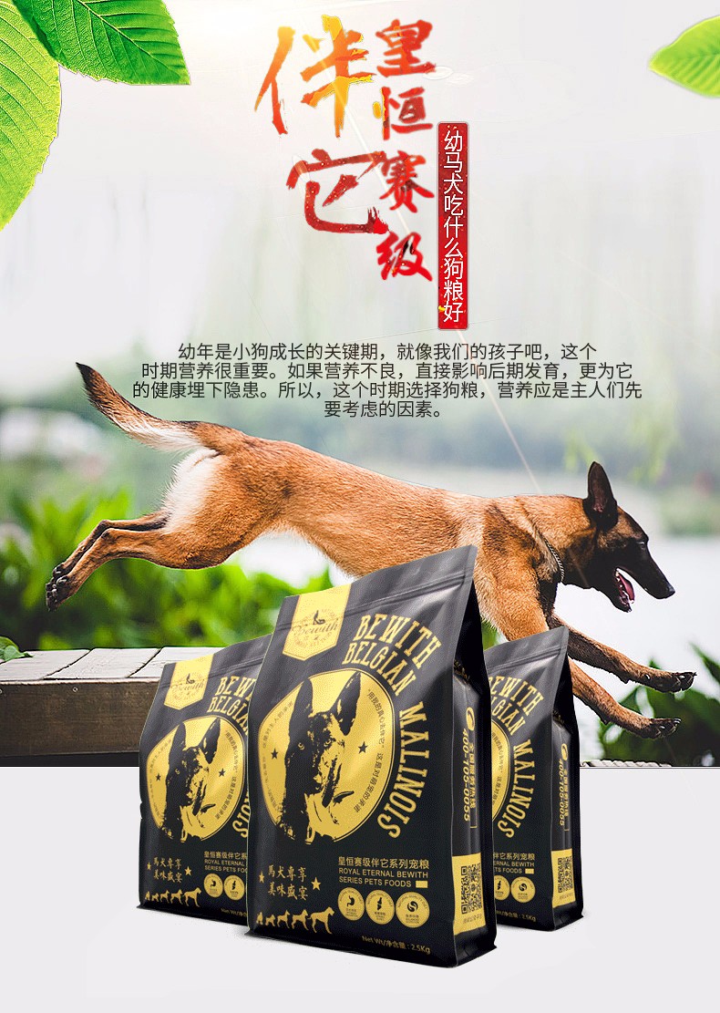 威尔逊馋嘴马犬狗粮训犬狗粮幼犬狗粮补钙训狗马犬训练奖励狗粮牛肉味