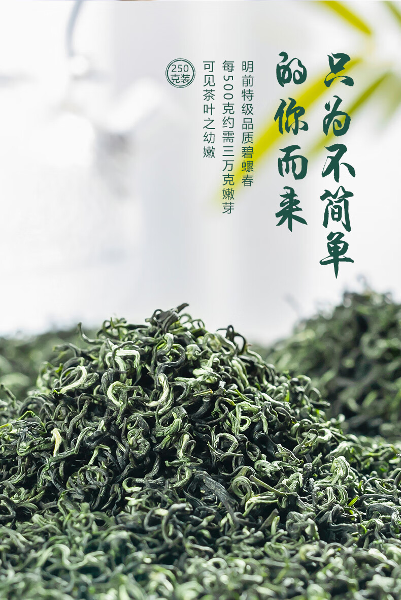 5折两大绿茶碧螺春2022年新茶毛尖茶叶信阳原产明前嫩芽散装500g