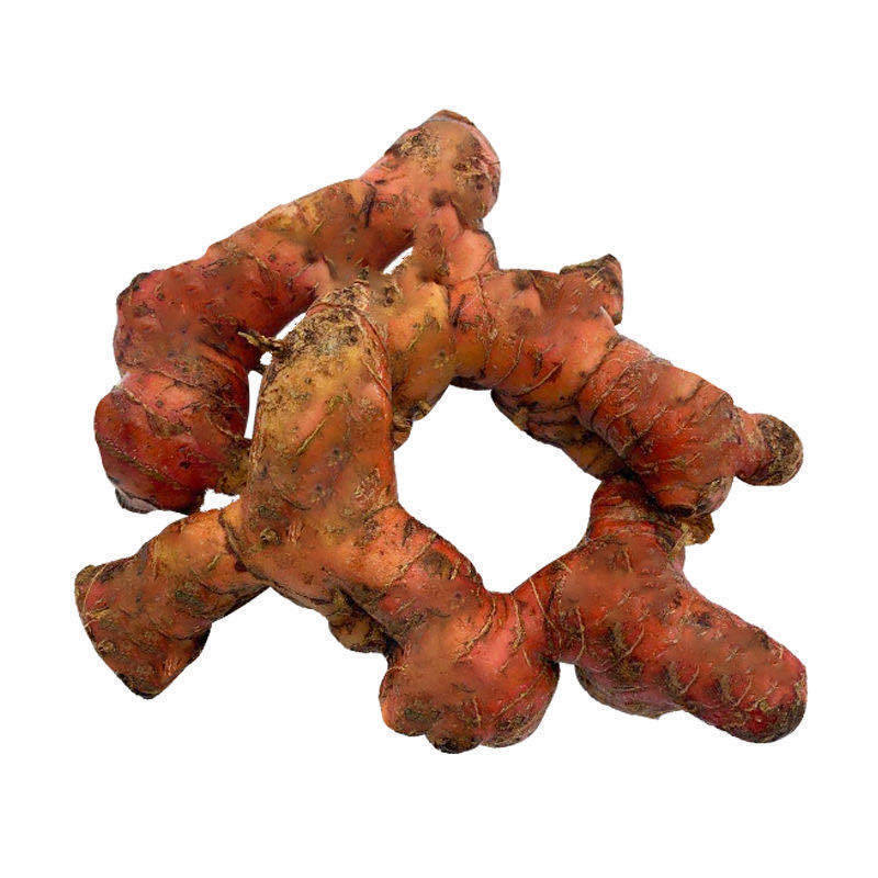 新鲜良姜 150g-5000g 潮汕特产 南姜 南姜5斤【图片 价格 品牌 报价】