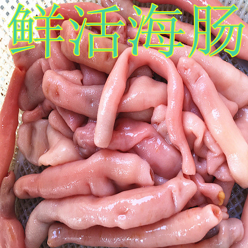 鲜活海肠子活青岛海鲜水产活体冷冻海捕新鲜海肠皮活沙虫1斤3斤超值装
