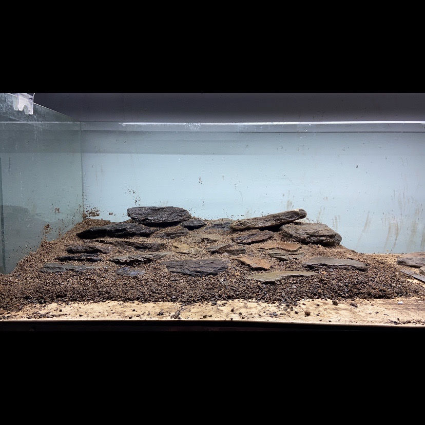 片岩原生溪流缸造景乌龟晒台虾虎三湖躲避爆藻开缸石冷水鱼溪流石中