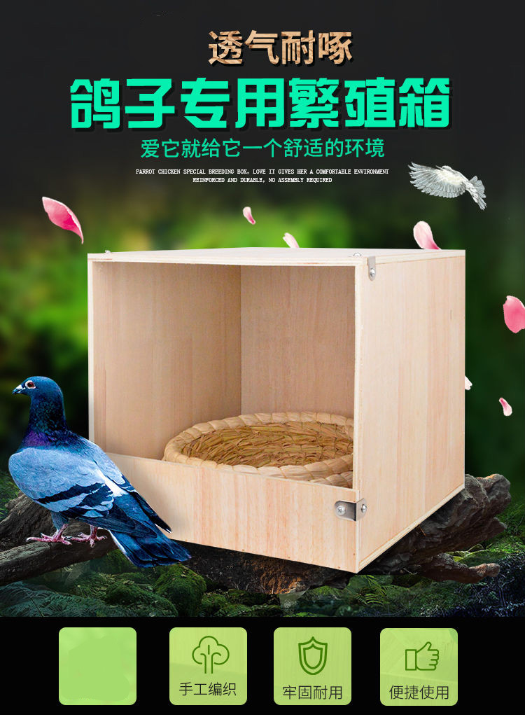 室内可挂木制鸽子巢箱鸽子窝繁殖孵化防打扰配对放飞笼猫窝兔子窝普通