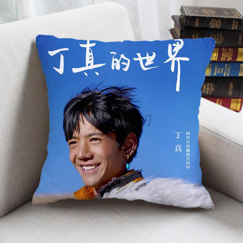 赛马王子丁真周边抱枕来图定制甜野男孩礼物女生宿舍床靠枕玩偶1235