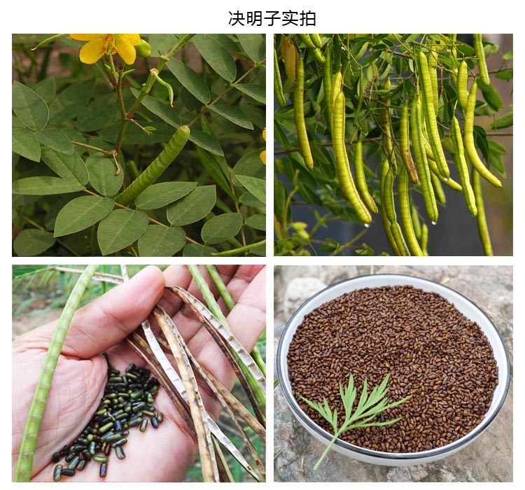 决明子泡茶 野生决明子500g 炒决明子儿童沙滩玩具决明子新货无硫