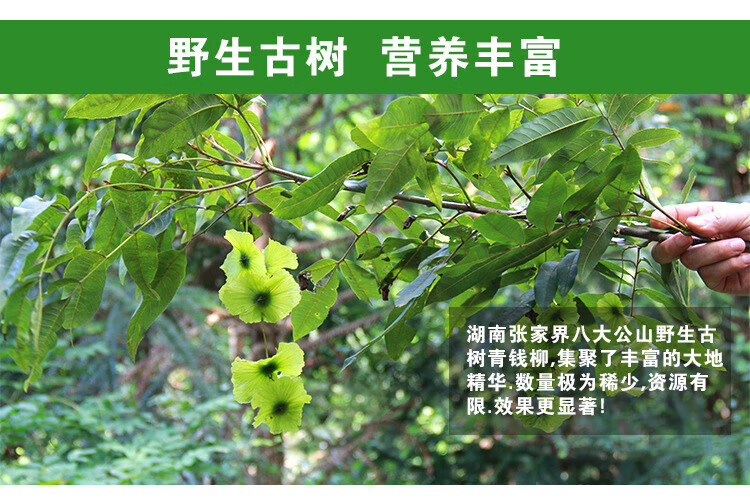 d7070efadf556d5b.jpg