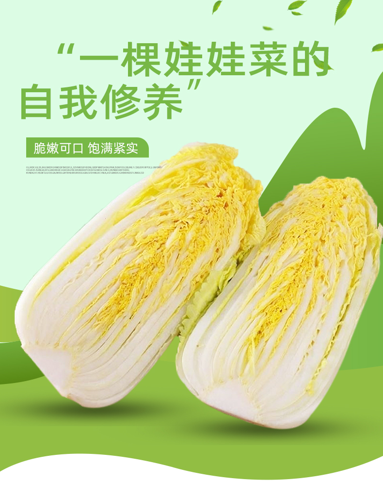 娃娃菜新鲜小白菜5斤农家自种当季黄牙白蔬菜整箱1500g