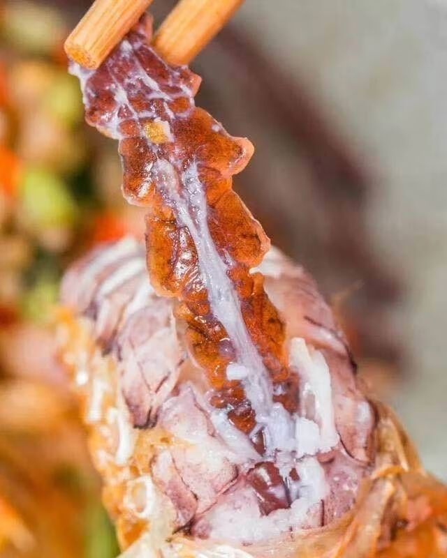 七冰东皮皮虾鲜活熟冻带膏带黄虾爬子濑尿虾虾婆虾姑精选大母2斤大公1