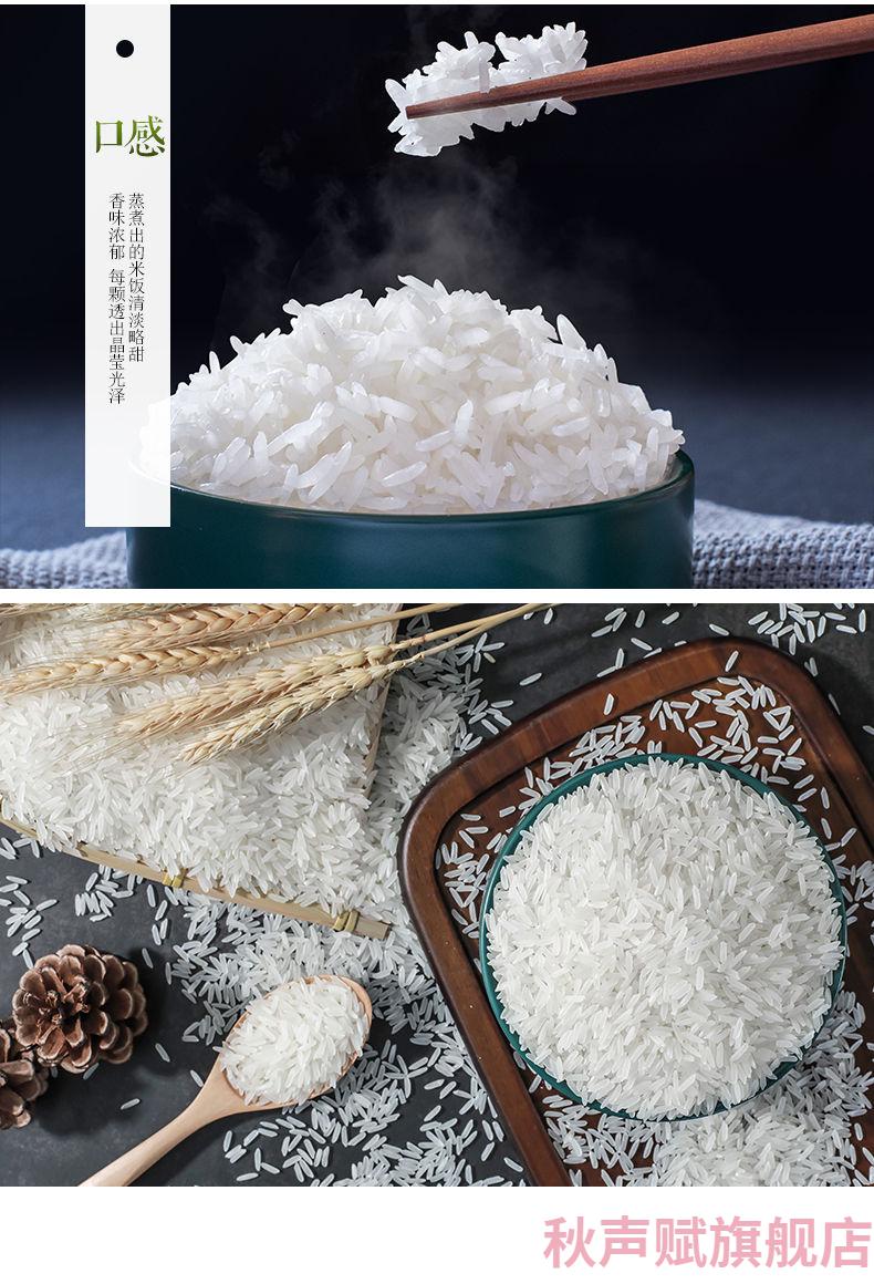 京选美食稻金乡泰国香米原粮大米10斤真空装2021新米长粒香丝苗米