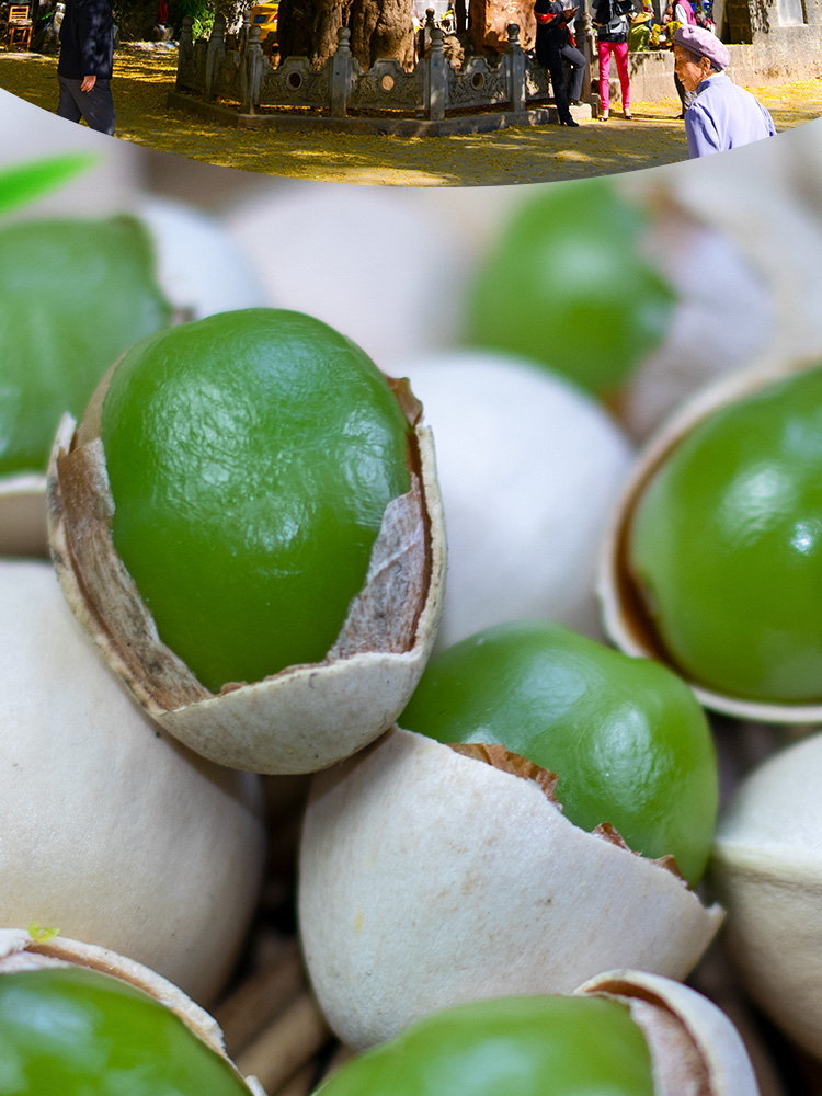 云南特产腾冲银杏果新鲜古树糯香白果翡翠绿果直发500g500g中小果