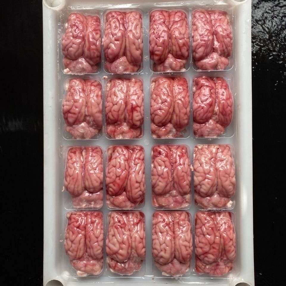 【顺丰直达】8盒新鲜冷冻猪脑花 猪脑子猪脑髓 带小脑 鲜琛觅 8副猪脑