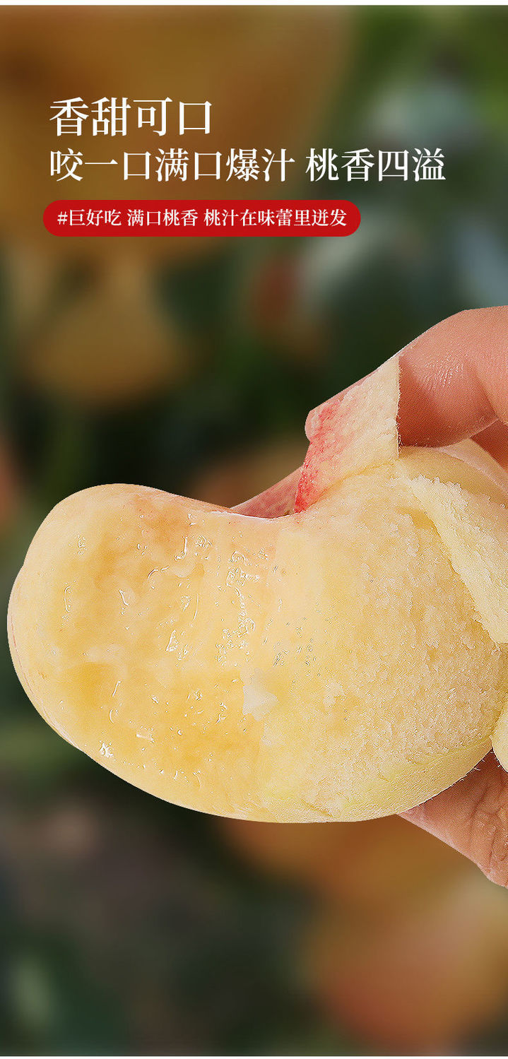 【顺丰】新鲜山东红毛蟠桃毛桃3/5斤单果150g起当季新鲜水果 5斤装