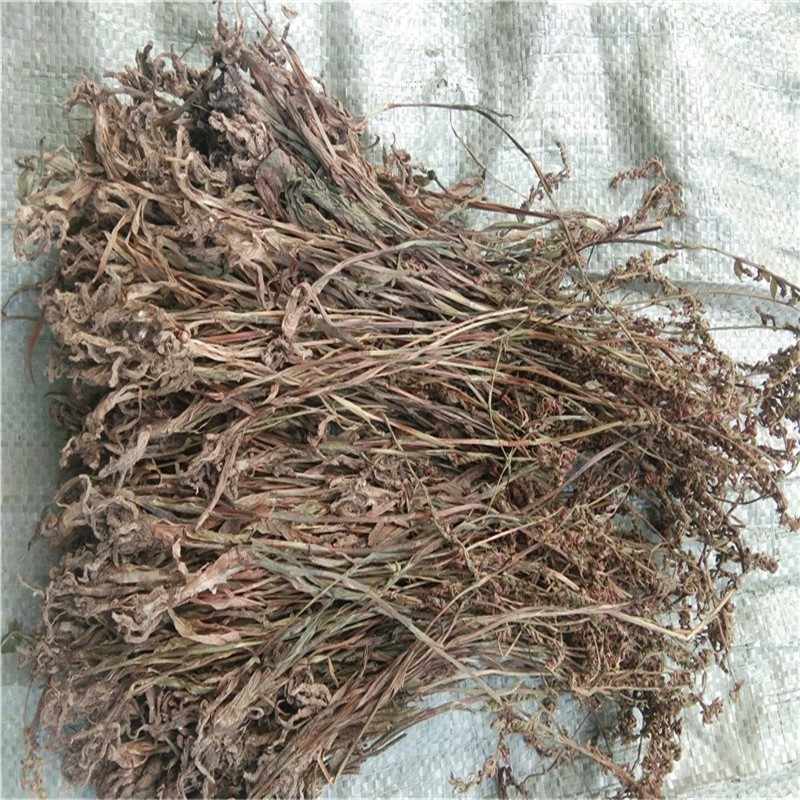 贵州盘龙参 中药材紫花盘龙草猪鞭草绶草猪牙参干货 250克【图片 价格