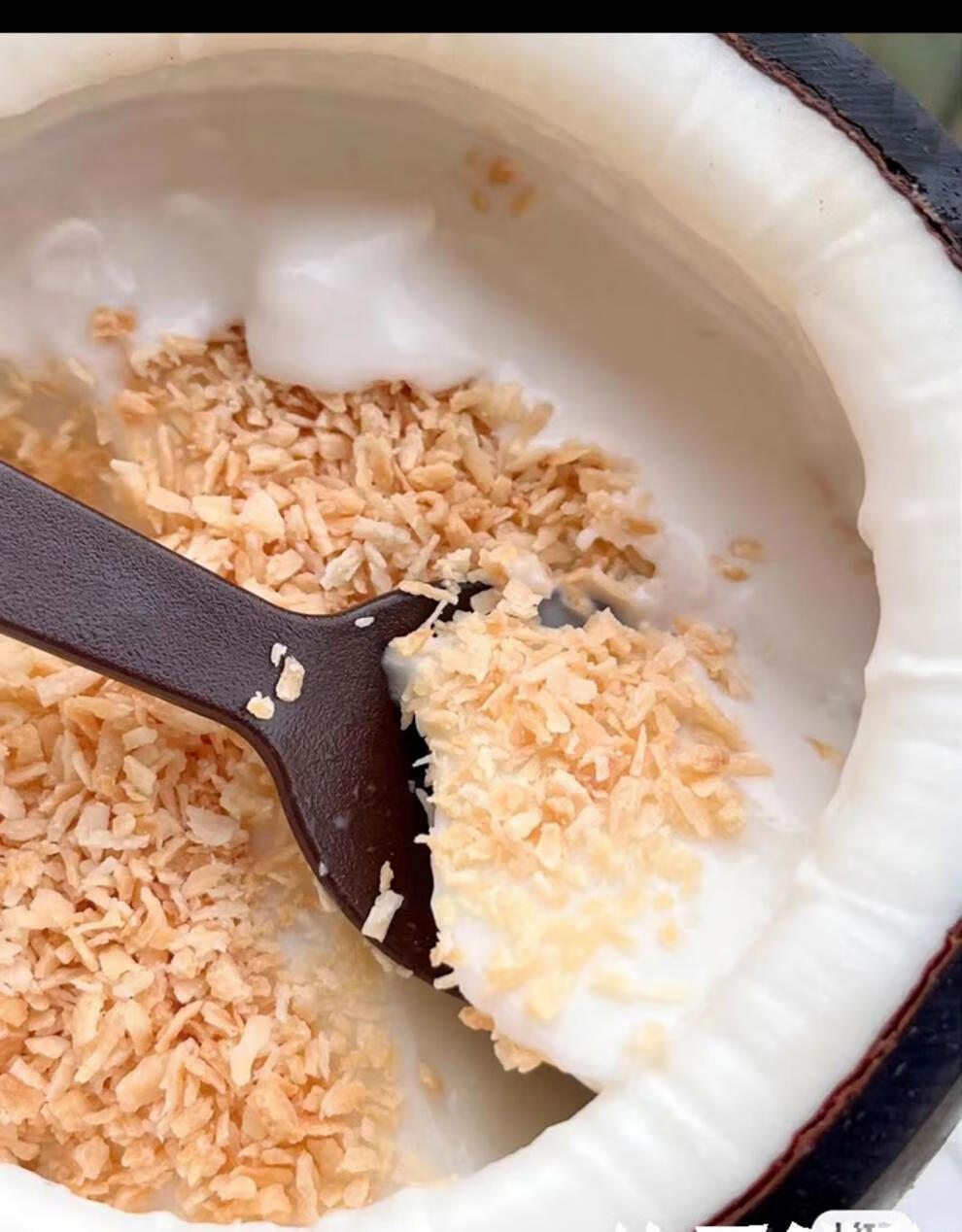 现货菲诺椰奶冻椰子冻6个原箱黄金椰粒椰皇冻网红布丁 顺丰 3个【图片