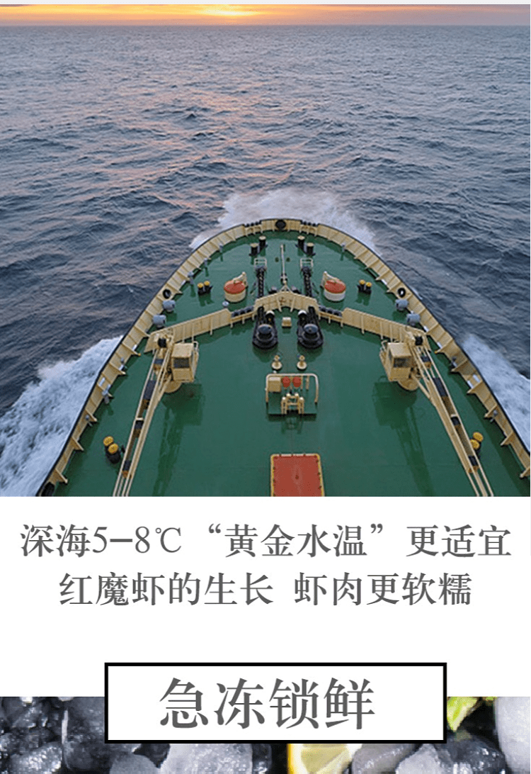 红魔虾特大鲜活刺身级低温甜虾莫桑比克甜虾刺身生吃海鲜500g1821cm