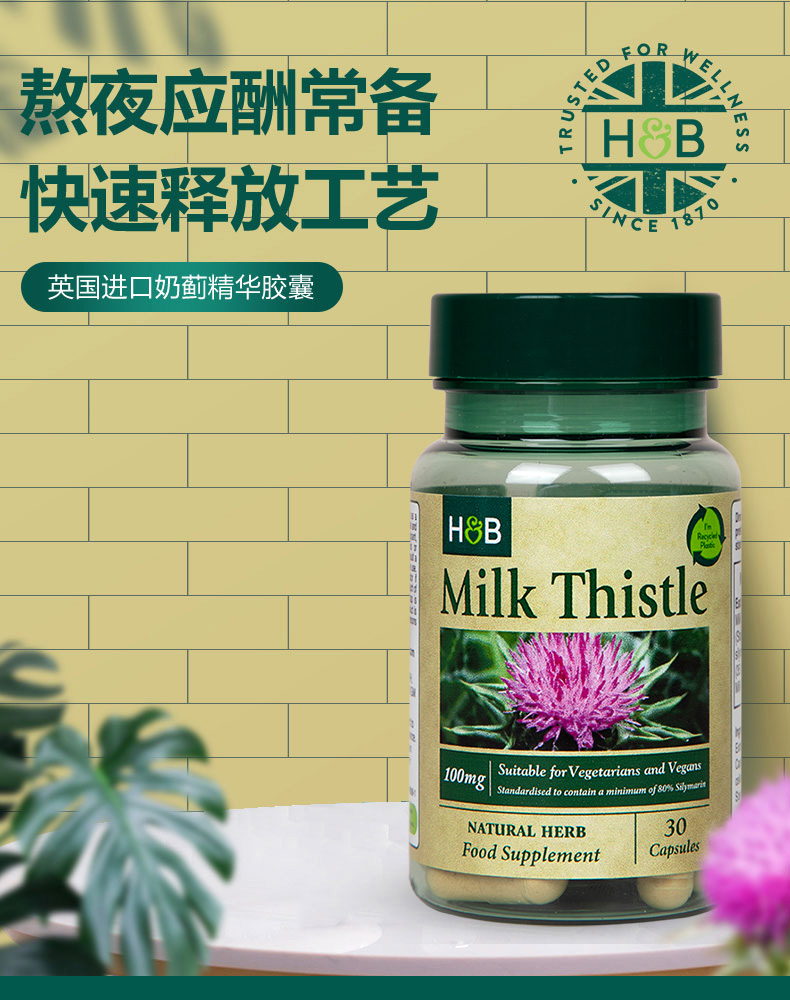 荷柏瑞 奶蓟草精华 30粒/100mg 奶蓟草精华 30粒/100mg【图片 价格