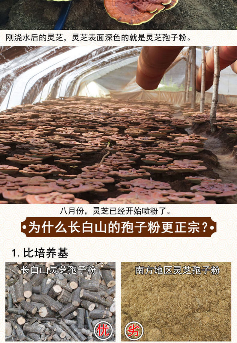 59934fdea2e90250.jpg
