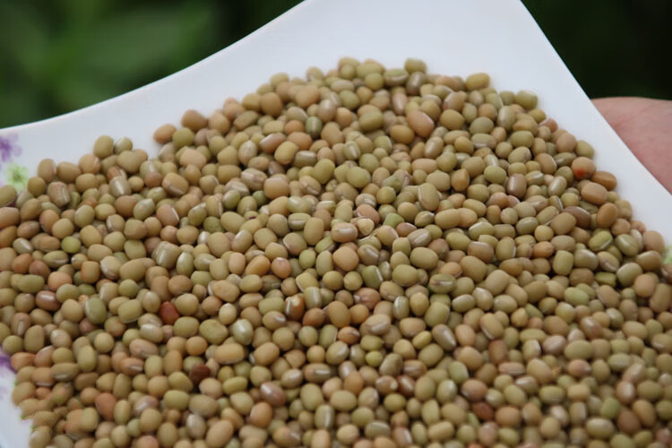 米豆豆巴山豆子 贵州农家熬粥酸菜米豆 杂粮豆五谷杂粮1斤 谷杂粮1斤