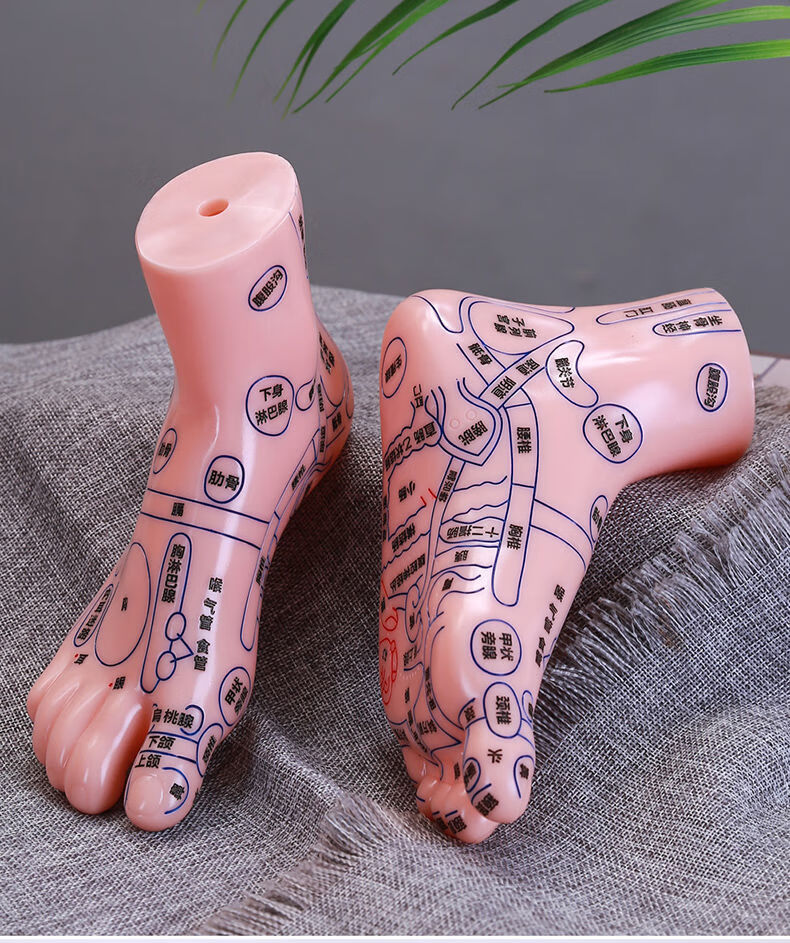 足模型清晰大字体足底穴位按摩足疗棒足部脚丫反射区清晰刻字中医