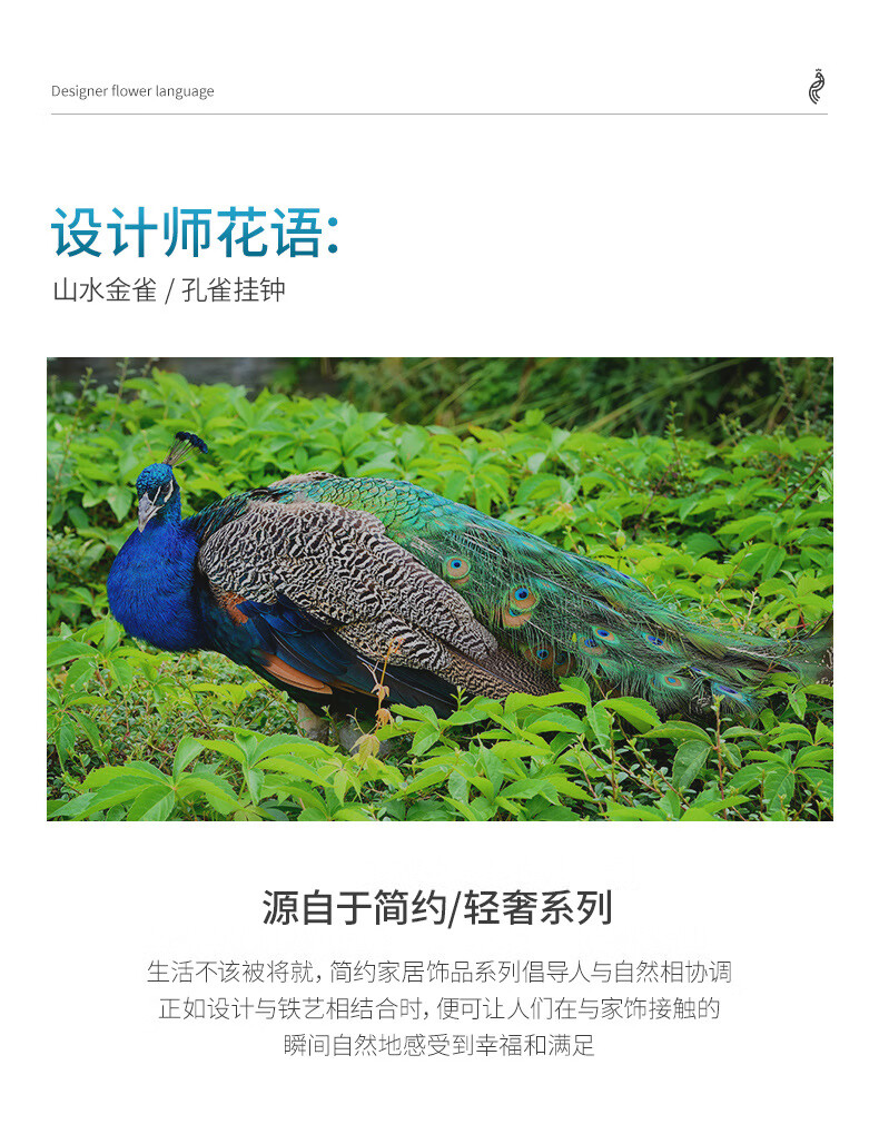 a5382eb194143136.jpg