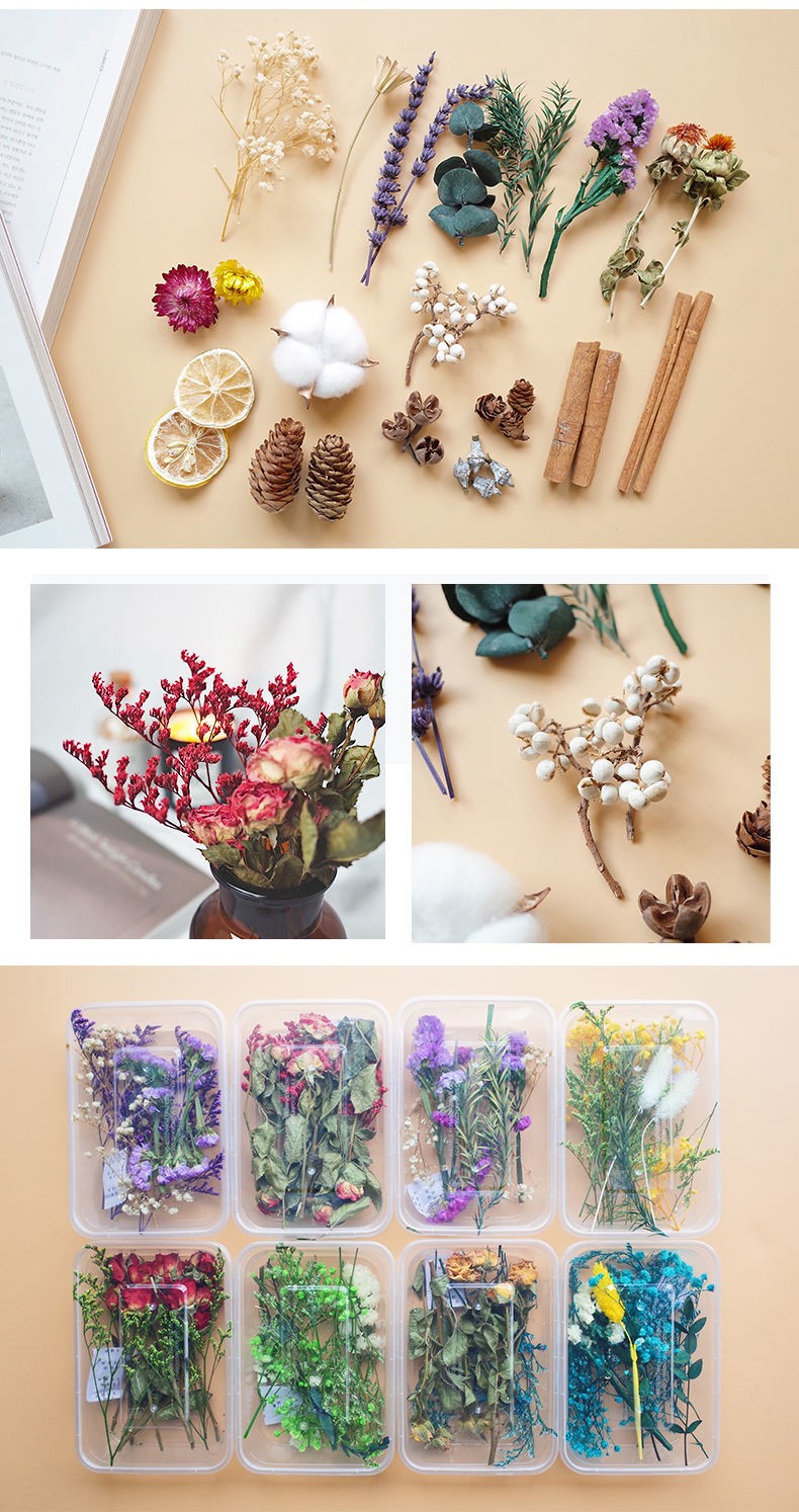 可狄 永生花干花真花diy混装干花盒混合手工花材包干花材料包真花天然