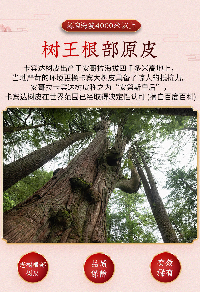 安哥拉卡宾达树皮粉特级野生正宗非洲特厚卡宾老树皮泡酒kuba15cm树皮