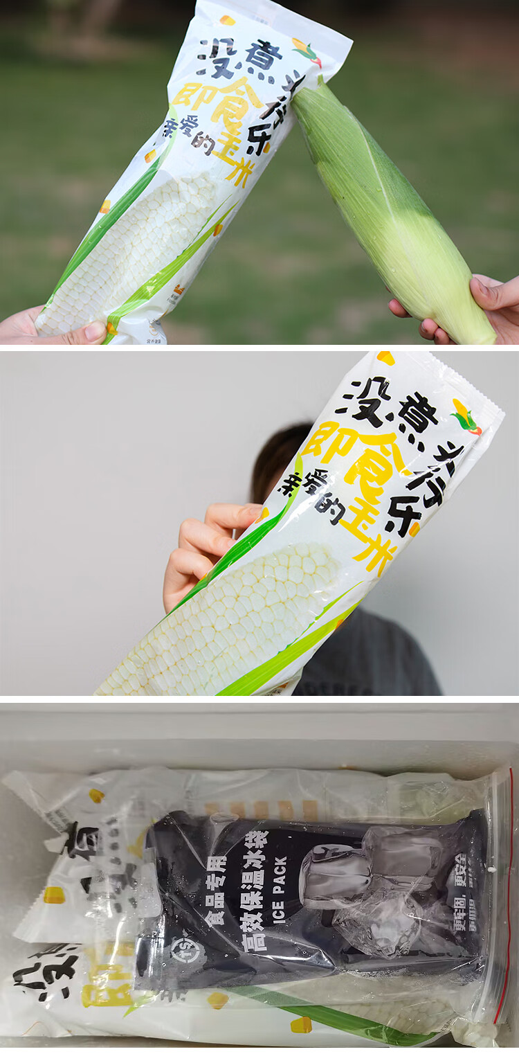 云南生吃微玉冰糖玉米新鲜即食牛奶水果玉米奶糖甜嫩现摘顺丰5斤