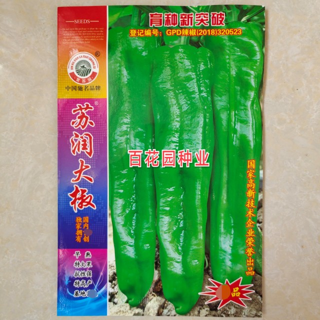 苏润种业苏润大椒苏润515苏润一椒大果粗长牛角椒早熟高产大果型苏润