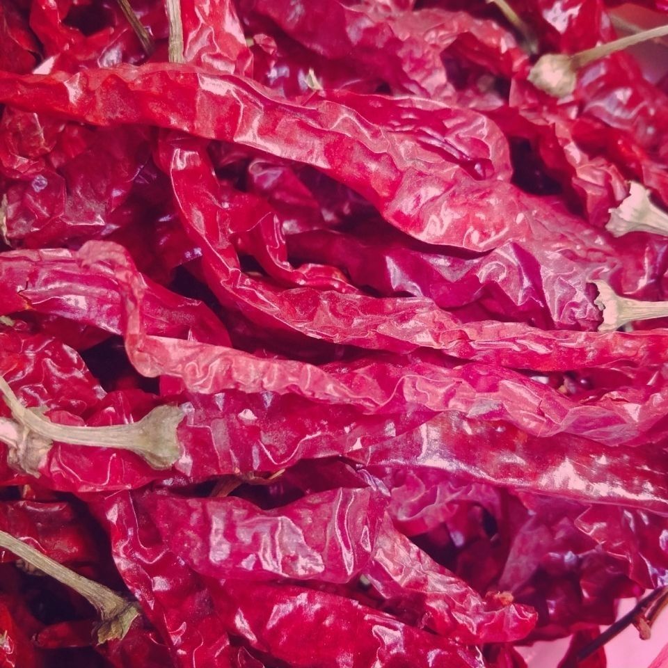 东北红辣椒 多规格 东北干红辣椒农家特产薄皮大红干辣椒手工挑选晾晒