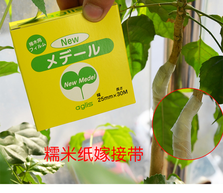 进口aglis糯米纸嫁接膜防水透气果树苗蔷薇月季金蛋子嫁接带不分段